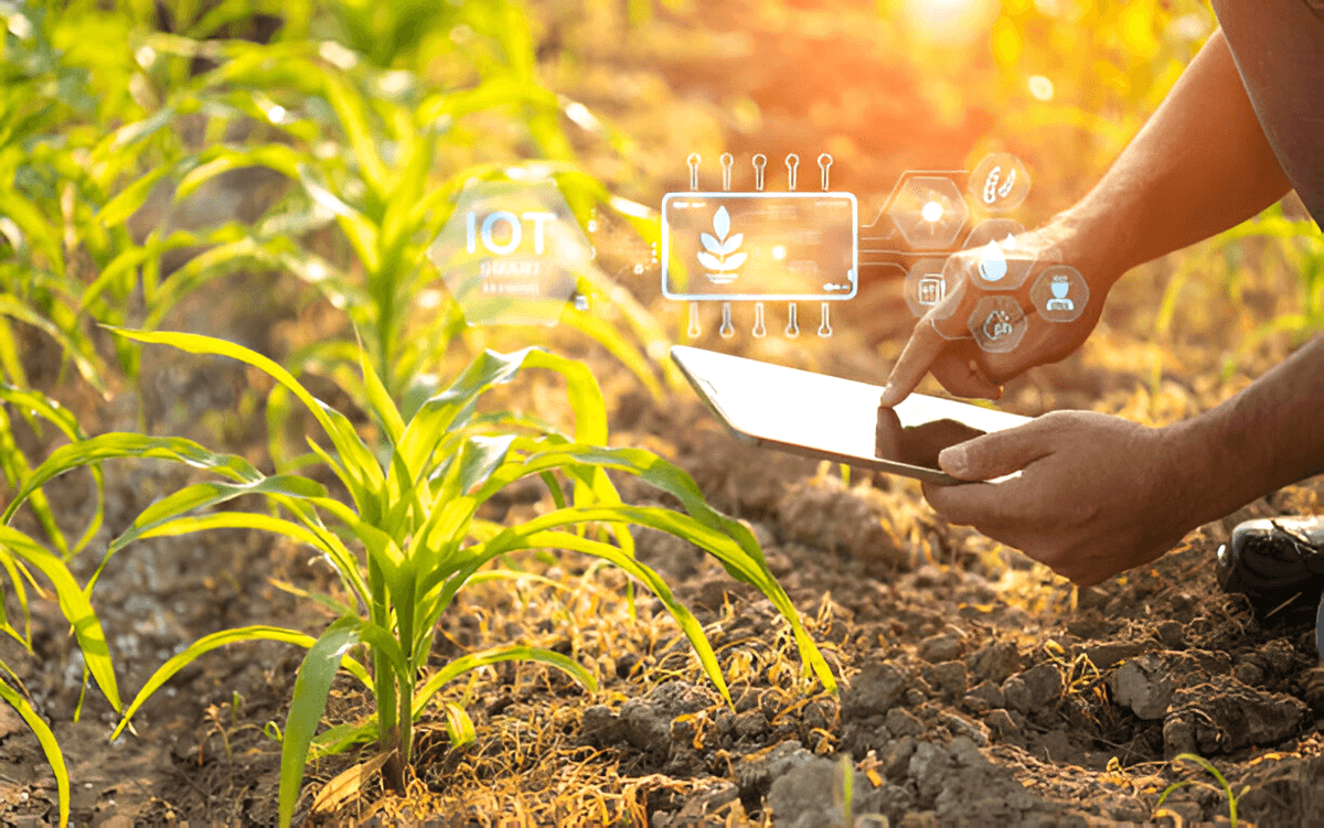 IoT in Agriculture