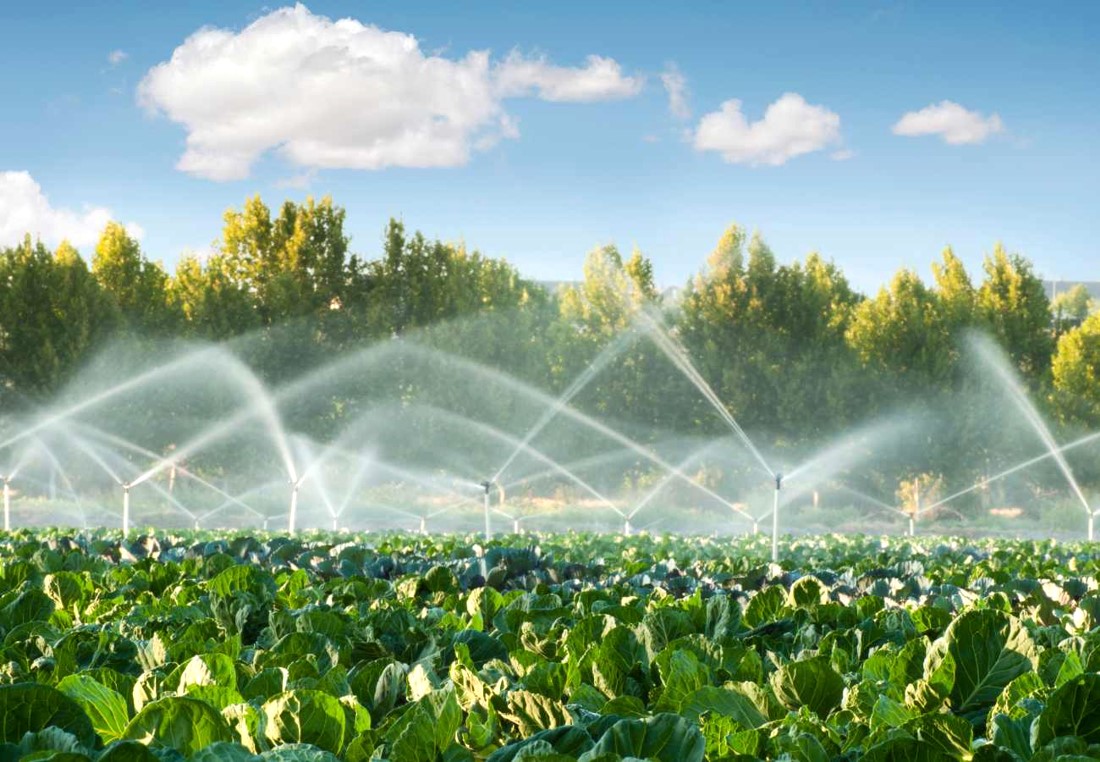 Smart Irrigation Systems